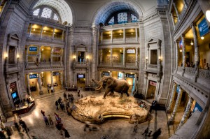 Natural History Museum in Washington DC