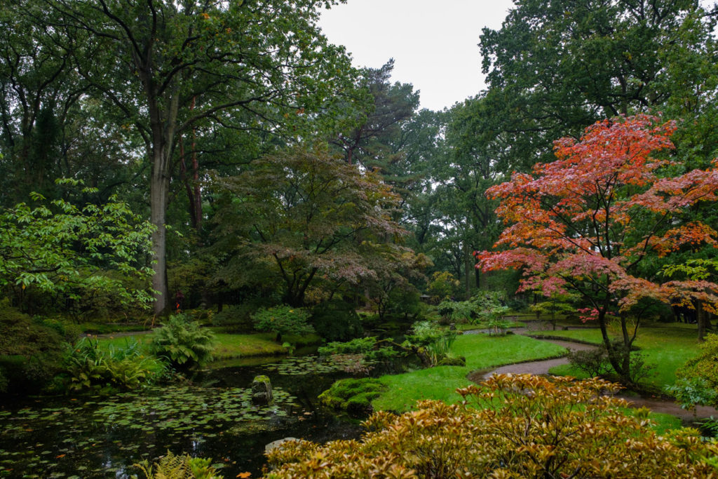 Japanse Tuin Den Haag