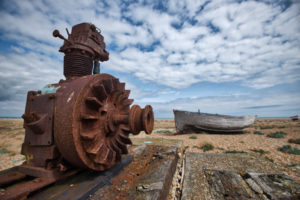 Dungeness